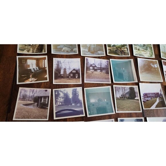 LOT  Of 35 vintage 1970's  PHOTOS Home Interiors Furniture Scenery Animals Zoo - Picture 8 of 12